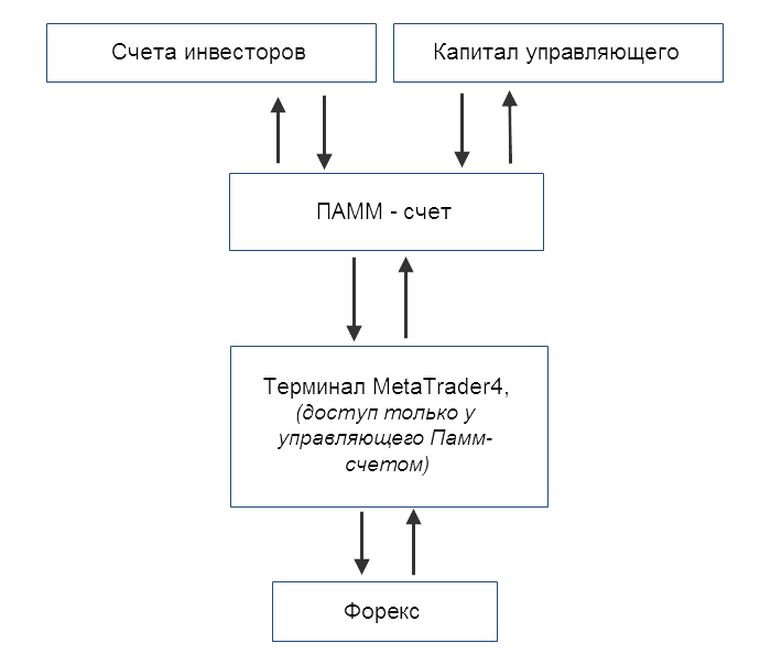 Cтруктура ПАММ-счета